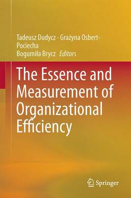 The Essence and Measurement of Organizational Efficiency - Springer Proceedings in Business and Economics (Hardback)