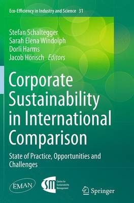 Corporate Sustainability in International Comparison: State of Practice, Opportunities and Challenges - Eco-Efficiency in Industry and Science 31 (Paperback)