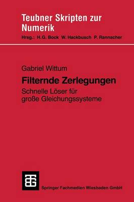Filternde Zerlegungen: Schnelle L ser F r Gro e Gleichungssysteme - Teubner Skripten Zur Numerik (Paperback)