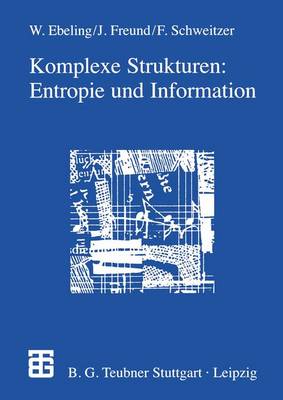 Komplexe Strukturen: Entropie und Information (Paperback)