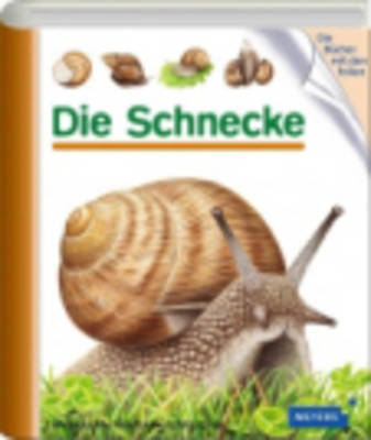 Meyers Kleine Kinderbibliothek: Die Schnecke (Hardback)