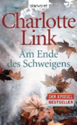 Am Ende des Schweigens (Paperback)