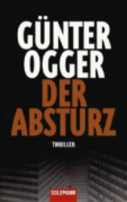 Der Absturz (Paperback)