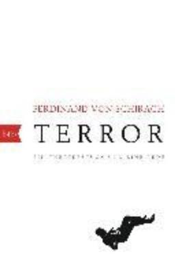 Terror (Paperback)