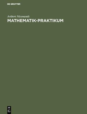 Mathematik-Praktikum (Hardback)