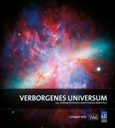 Verborgenes Universum (Hardback)