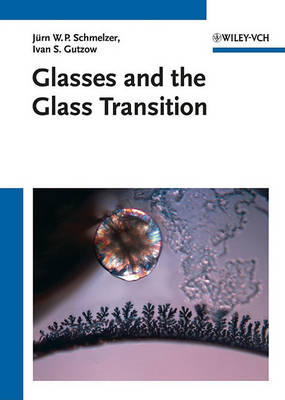 Glasses and the Glass Transition (Hardback)