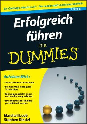 Erfolgreich fuhren fur Dummies - Fur Dummies (Paperback)