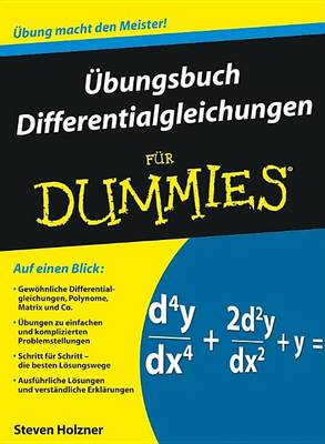 Ubungsbuch Differentialgleichungen Fur Dummies - Fur Dummies (Paperback)