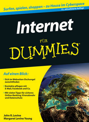Internet fur Dummies - Fur Dummies (Paperback)