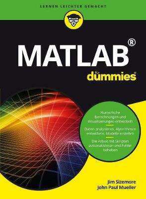 Matlab fur Dummies - Fur Dummies (Paperback)