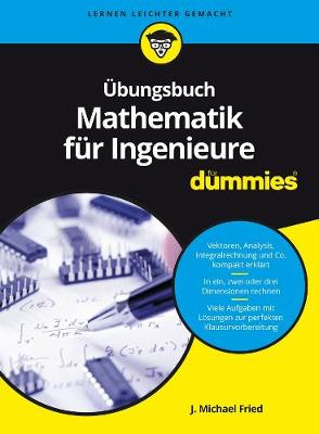 UEbungsbuch Mathematik fur Ingenieure fur Dummies - Fur Dummies (Paperback)