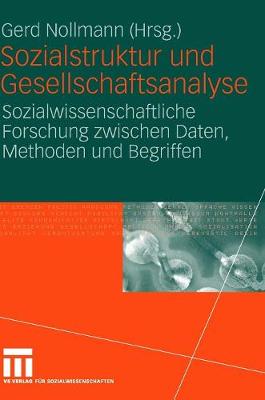Sozialstruktur Und Gesellschaftsanalyse: Sozialwissenschaftliche Forschung Zwischen Daten, Methoden Und Begriffen (Hardback)