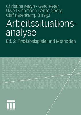 Arbeitssituationsanalyse: Bd. 2: Praxisbeispiele Und Methoden (Paperback)