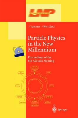 Particle Physics in the New Millennium: Proceedings of the 8th Adriatic Meeting - Lecture Notes in Physics 616 (Hardback)