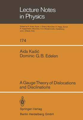 A Gauge Theory of Dislocations and Disclinations - Lecture Notes in Physics 174 (Paperback)