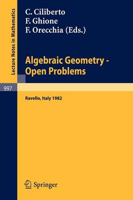 Algebraic Geometry: Open Problems - Lecture Notes in Mathematics No. 997 (Paperback)