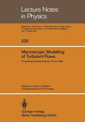 Macroscopic Modelling of Turbulent Flows: Proceedings of a Workshop held at INRIA, Sophia-Antipolis, France, December 10-14, 1984 - Lecture Notes in Physics 230 (Paperback)