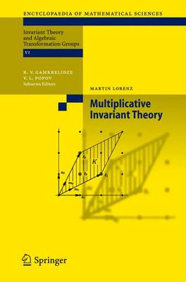 Multiplicative Invariant Theory - Encyclopaedia of Mathematical Sciences 135 (Hardback)