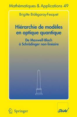 Hierarchie De Modeles En Optique Quantique: De Maxwell-Bloch a Schrodinger Non-Lineaire - Mathematiques et Applications v.49 (Paperback)
