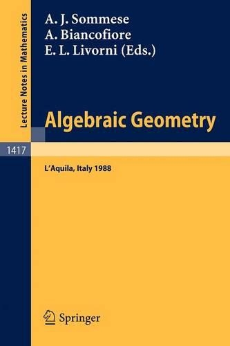 Algebraic Geometry: International Conference Proceedings (Paperback)