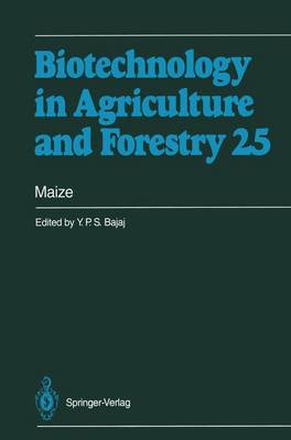 Maize - Biotechnology in Agriculture and Forestry 25 (Hardback)