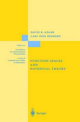 Function Spaces and Potential Theory - Grundlehren der mathematischen Wissenschaften 314 (Hardback)