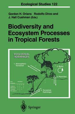 Biodiversity and Ecosystem Processes in Tropical Forests - Ecological Studies v. 122 (Hardback)