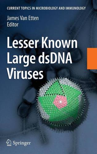Lesser Known Large dsDNA Viruses - Current Topics in Microbiology and Immunology 328 (Hardback)
