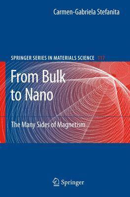 From Bulk to Nano: The Many Sides of Magnetism - Springer Series in Materials Science 117 (Hardback)