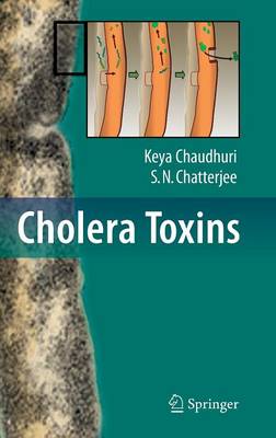 Cholera Toxins (Hardback)