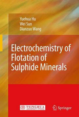 Electrochemistry of Flotation of Sulphide Minerals (Hardback)