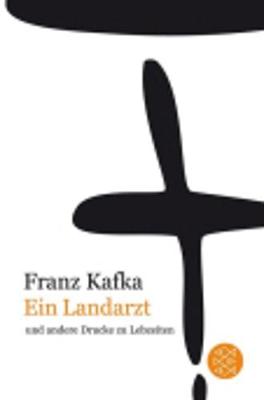 Ein Landartz (Paperback)