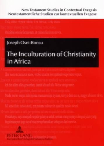 The Inculturation of Christianity in Africa: Antecedents and Guidelines from the New Testament and the Early Church (Paperback)