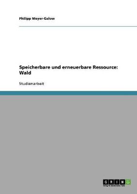 Speicherbare Und Erneuerbare Ressource: Wald (Paperback)