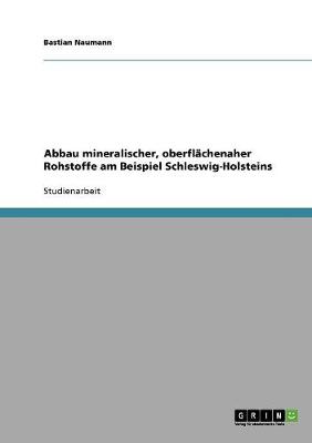 Abbau Mineralischer, Oberflachenaher Rohstoffe Am Beispiel Schleswig-Holsteins (Paperback)