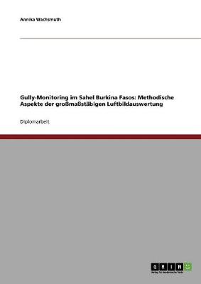 Gully-Monitoring Im Sahel Burkina Fasos: Methodische Aspekte Der Grossmassstabigen Luftbildauswertung (Paperback)