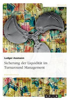 Sicherung Der Liquiditat Im Turnaround Management (Paperback)