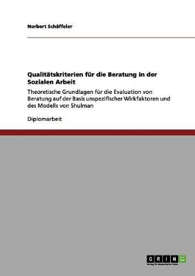 Qualitatskriterien Fur Die Beratung in Der Sozialen Arbeit (Paperback)