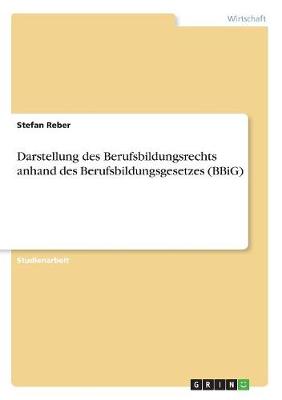 Darstellung Des Berufsbildungsrechts Anhand Des Berufsbildungsgesetzes (Bbig) (Paperback)