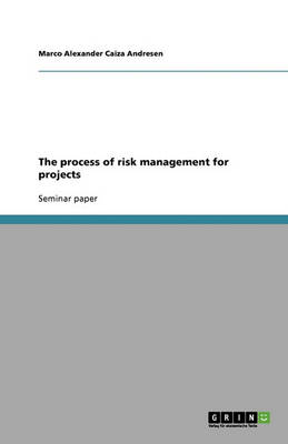The Process of Risk Management for Projects (Paperback)