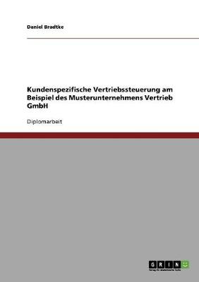 Kundenspezifische Vertriebssteuerung. Kundenorientierung in Ganzheitlichen Ansatzen (Paperback)