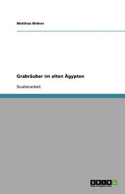 Grabrauber Im Alten Agypten (Paperback)
