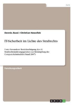 It-Sicherheit Im Lichte Des Strafrechts (Paperback)
