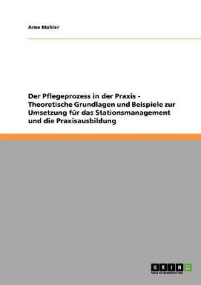 Der Pflegeprozess in Der Praxis. Theoretische Grundlagen Und Beispiele Zur Umsetzung Fur Das Stationsmanagement Und Die Praxisausbildung (Paperback)