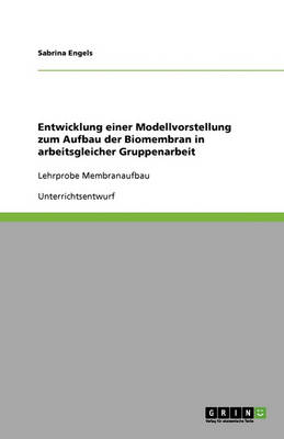 Unterrichtsstunde Membranaufbau (Biologie 11. Klasse Gymnasium) (Paperback)