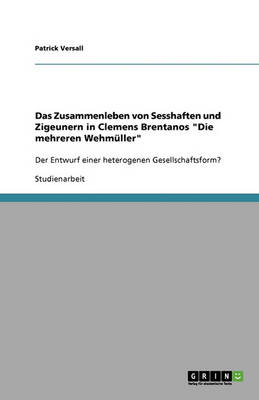 Das Zusammenleben Von Sesshaften Und Zigeunern in Clemens Brentanos "Die Mehreren Wehmuller" (Paperback)