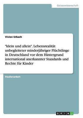 Klein Und Allein. Lebensrealitat Unbegleiteter Minderjahriger Fluchtlinge in Deutschland VOR Dem Hintergrund International Anerkannter Standards Und (Paperback)