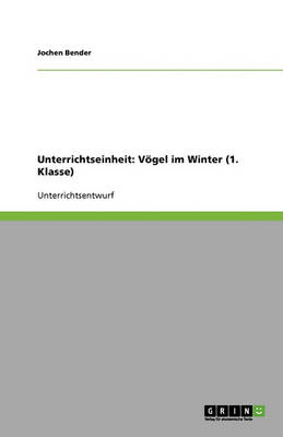 Unterrichtseinheit: Vogel Im Winter (1. Klasse) (Paperback)