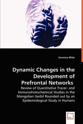 Dynamic Changes in the Development of Prefrontal Networks (Paperback)